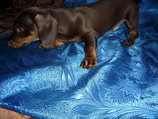 1920 X 1440 434.0 Kb 807 X 536 184.3 Kb 2 