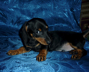 1480 X 1207 739.7 Kb 1881 X 1151 945.7 Kb 1920 X 1440 434.0 Kb 807 X 536 184.3 Kb 2 