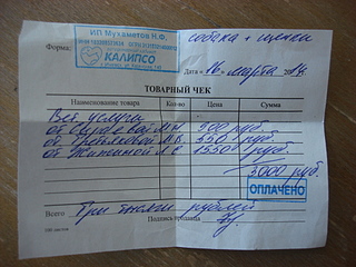 1920 X 1440 195.7 Kb Собаку со щенками выбросили около школы N66. Нужна помощь!