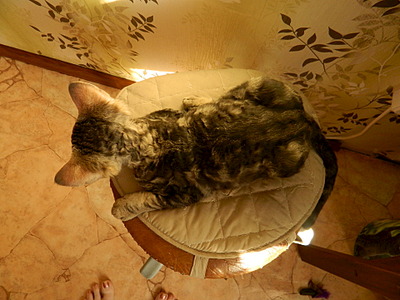 1920 X 1440 626.6 Kb 1920 X 1849 950.6 Kb 1574 X 2232 547.3 Kb 1920 X 2117 962.5 Kb   -