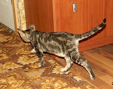 1771 X 1399 894.8 Kb 1920 X 1440 626.6 Kb 1920 X 1849 950.6 Kb 1574 X 2232 547.3 Kb 1920 X 2117 962.5 Kb   -