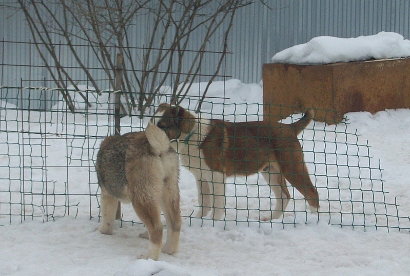 1920 X 1289 948.4 Kb -    .