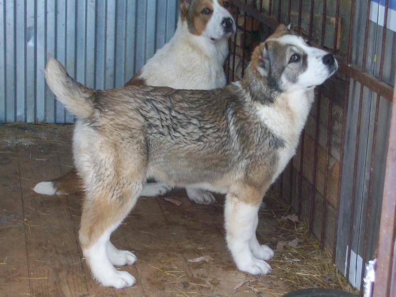 1920 X 1442 516.0 Kb 1920 X 1289 948.4 Kb -    .