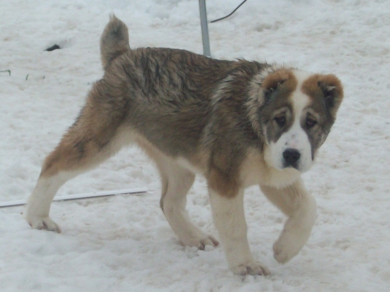 1364 X 1023 583.2 Kb -    .