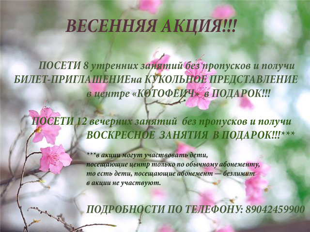640 x 480 Добро пожаловать в Центр 'КОТОФЕИЧ'! День рождение 500 руб!