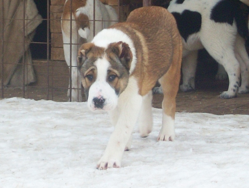 1216 X 917 483.8 Kb -    .