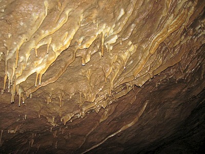 1920 X 1440 645.2 Kb  . 21-23 