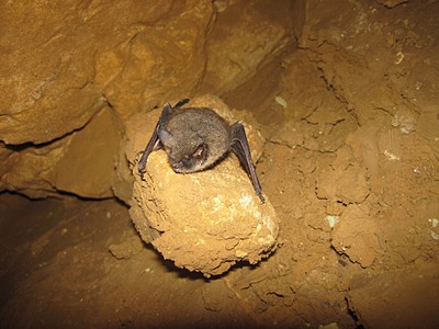 1920 X 1440 493.5 Kb 1920 X 1440 857.1 Kb 1920 X 1440 645.2 Kb  . 21-23 