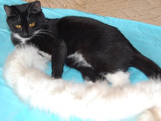 319 x 240 300 x 240 -  