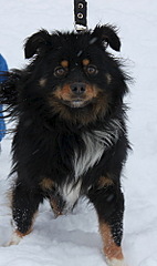 296 X 500 39.2 Kb ϸ   