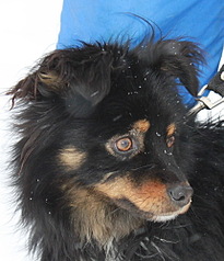 429 X 500 67.3 Kb 500 X 391 57.3 Kb 296 X 500 39.2 Kb ϸ   