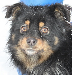 484 X 500 98.8 Kb 429 X 500 67.3 Kb 500 X 391 57.3 Kb 296 X 500 39.2 Kb ϸ   