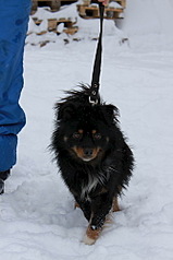 333 X 500 37.6 Kb 484 X 500 98.8 Kb 429 X 500 67.3 Kb 500 X 391 57.3 Kb 296 X 500 39.2 Kb ϸ   