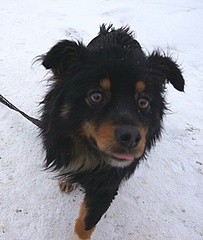 253 X 299 25.6 Kb 377 X 300 39.7 Kb 398 X 272 39.0 Kb 495 X 600 80.0 Kb 333 X 500 37.6 Kb ϸ   