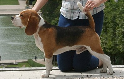 640 X 411 48.6 Kb -, !  'Prime Prade'