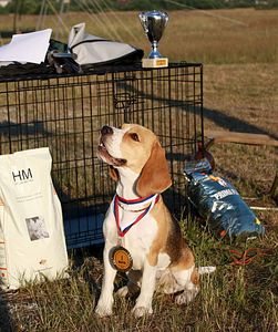 1897 X 2266 581.9 Kb 400 X 470 53.3 Kb -, !  'Prime Prade'