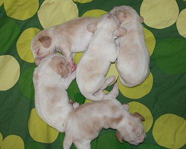 1920 X 1538 252.6 Kb 1920 X 1281 455.3 Kb 1920 X 1371 228.7 Kb 1920 X 928 141.1 Kb -, !  'Prime Prade'