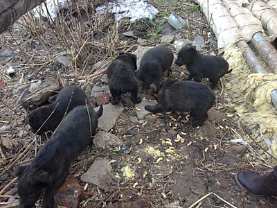 1632 X 1224 990.9 Kb 1632 X 1224 773.9 Kb ������ ������������ ������.