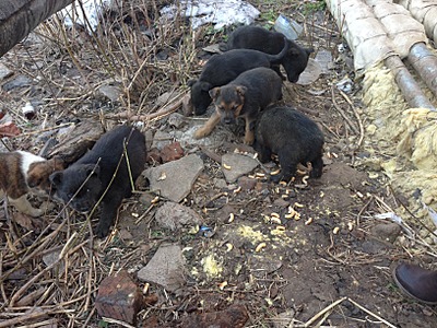 1632 X 1224 310.3 Kb 1632 X 1224 1023.3 Kb ������ ������������ ������.