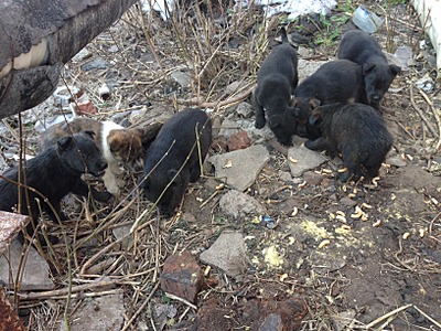 1632 X 1224 306.1 Kb 1632 X 1224 310.3 Kb 1632 X 1224 1023.3 Kb ������ ������������ ������.