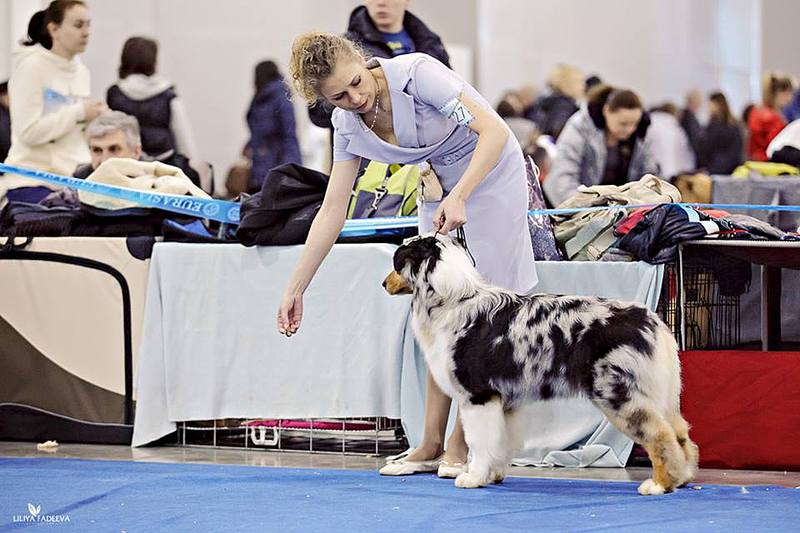 960 X 640 79.4 Kb Евразия 2014. С ПРИЕЗДОМ!