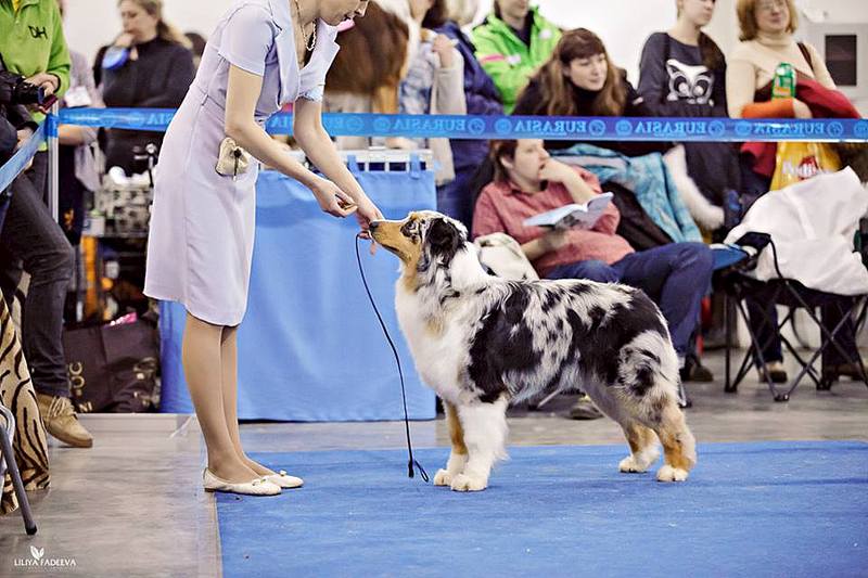 960 X 640 86.3 Kb 960 X 640 79.4 Kb Евразия 2014. С ПРИЕЗДОМ!