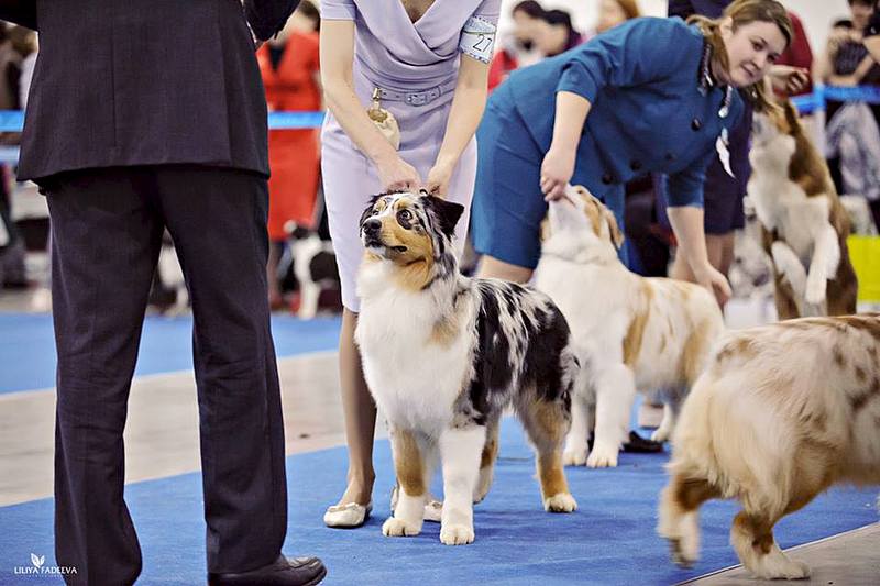 960 X 640 71.9 Kb 960 X 640 86.3 Kb 960 X 640 79.4 Kb Евразия 2014. С ПРИЕЗДОМ!