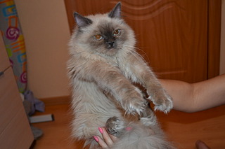 1920 X 1280 426.6 Kb    3 