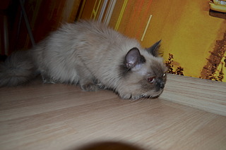 1920 X 1280 389.5 Kb 1920 X 1280 593.3 Kb 1920 X 1280 426.6 Kb    3 