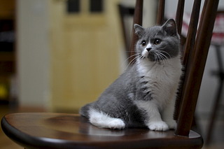 1920 X 1280 395.4 Kb   