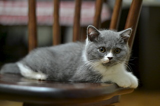 1920 X 1280 420.5 Kb   