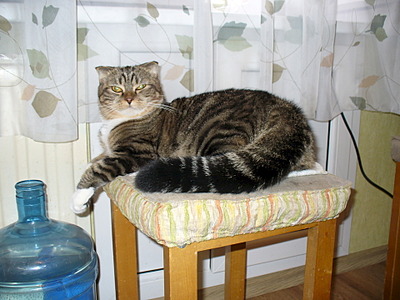 1920 X 1440 600.2 Kb   - 