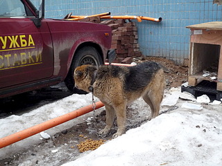 1920 X 1440 742.4 Kb      