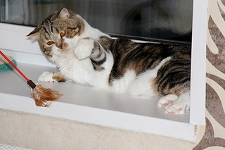 1920 X 1280 384.8 Kb        