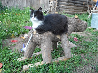 1080 X 810 1017.5 Kb , ,     .