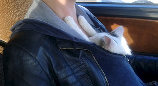 1920 X 1051 342.1 Kb  