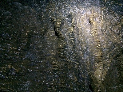 800 X 600 233.7 Kb 800 X 600 190.2 Kb  . 21-23 