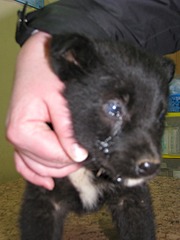 1920 X 2560 729.3 Kb 1920 X 2560 748.8 Kb 1920 X 2560 354.8 Kb ������ ������������ ������.