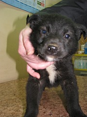 1920 X 2560 773.7 Kb 1920 X 2560 729.3 Kb 1920 X 2560 748.8 Kb 1920 X 2560 354.8 Kb ������ ������������ ������.