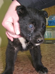 1920 X 2560 760.1 Kb 1920 X 2560 773.7 Kb 1920 X 2560 729.3 Kb 1920 X 2560 748.8 Kb 1920 X 2560 354.8 Kb ������ ������������ ������.