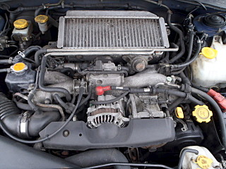 640 X 480 79.4 Kb 640 X 480 76.9 Kb 640 X 480 74.4 Kb 640 X 480 77.7 Kb   . 