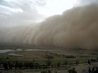 450 X 337 18.9 Kb В преддверии традиционных весенних пыльных бурь...