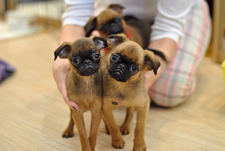 1920 X 1285 107.1 Kb 1920 X 1285 498.9 Kb -