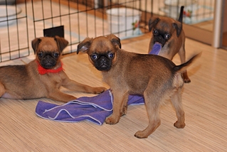 1920 X 1285 163.6 Kb 1920 X 1285 107.1 Kb 1920 X 1285 498.9 Kb -