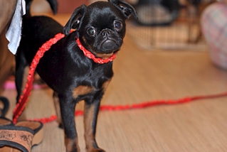 1920 X 1285 104.0 Kb 1920 X 1285 126.1 Kb 1920 X 1285 163.6 Kb 1920 X 1285 107.1 Kb 1920 X 1285 498.9 Kb -