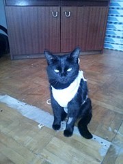 768 X 1024 118.6 Kb      !