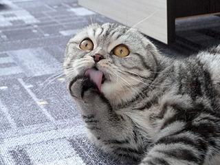 1920 X 1440 723.7 Kb 1920 X 1440 868.4 Kb  .   ( 19.03.14)