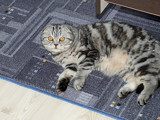 1920 X 1440 1005.9 Kb  .   ( 19.03.14)