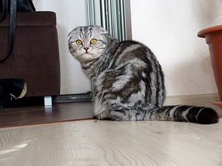 1920 X 1440 671.1 Kb 1920 X 1440 190.7 Kb  .   ( 19.03.14)