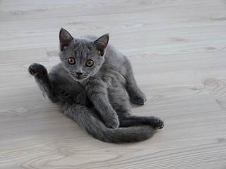 1920 X 1440 162.5 Kb  .   ( 30.03.14)